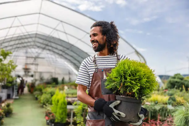 Sustainable Agriculture: Cultivating a Healthier Lifestyle and Future