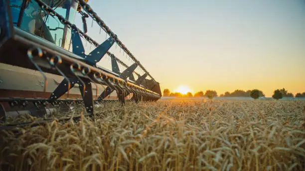 Agriculture in Transition: Feeding the World and Shaping the Future